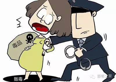 2016年初，涉縣警方查獲一起涉毒案件，鑒于該案涉案人員多、毒品交易量大，涉縣警方立即將案情上報，被公安部確立為“目標(biāo)-2016-314”號毒品案件。涉縣警方成立專案組，經(jīng)過多方追查，先后抓獲團伙人員13名，繳獲毒品5349克，并查明上線“濮姐”的真實身份為陳某。